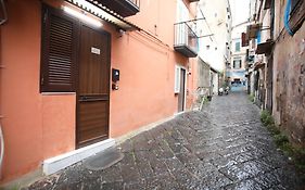 Vincent'S House
